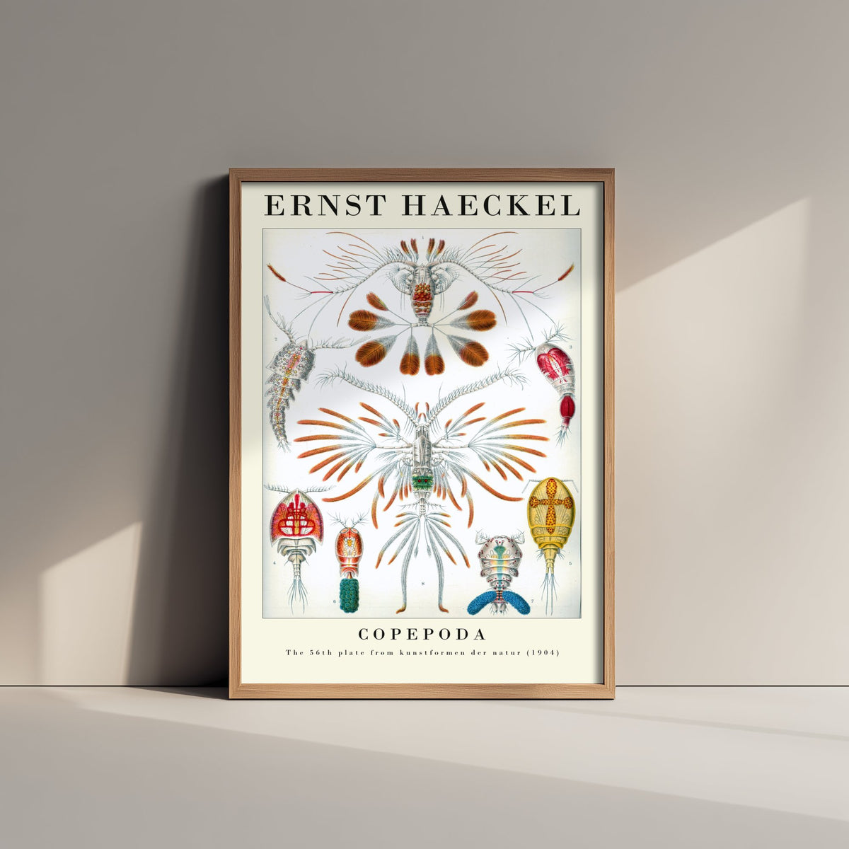Copepods Art Print - Ernst Haeckel Poster - Copepoda Plate 56 - Art Forms in Nature Vintage Illustration