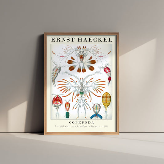 Copepods Art Print - Ernst Haeckel Poster - Copepoda Plate 56 - Art Forms in Nature Vintage Illustration