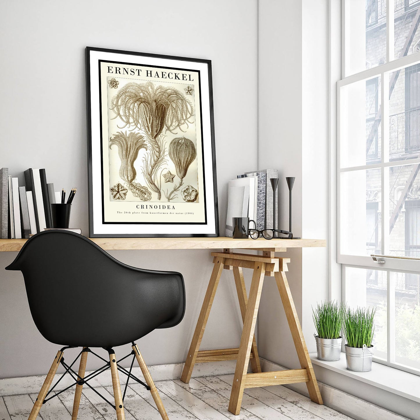 Sea Lilies Art Print - Ernst Haeckel Poster - Crinoidea Plate 20 - Art Forms in Nature Vintage Illustration