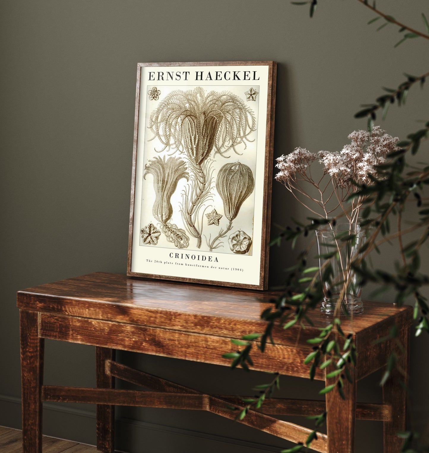 Sea Lilies Art Print - Ernst Haeckel Poster - Crinoidea Plate 20 - Art Forms in Nature Vintage Illustration