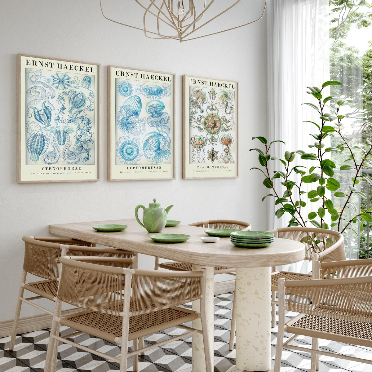 Ernst Haeckel Set of Three Gallery Art Prints - 3 Comb Jelly Jellyfish Medusae Posters - Titled Vintage Sea Life Illustration
