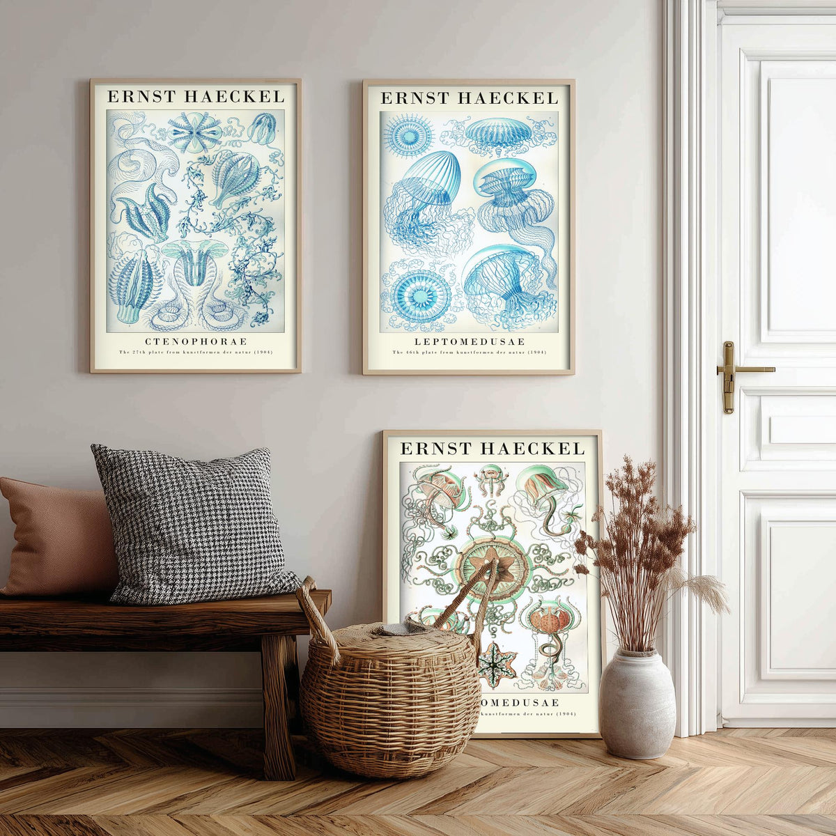 Ernst Haeckel Set of Three Gallery Art Prints - 3 Comb Jelly Jellyfish Medusae Posters - Titled Vintage Sea Life Illustration