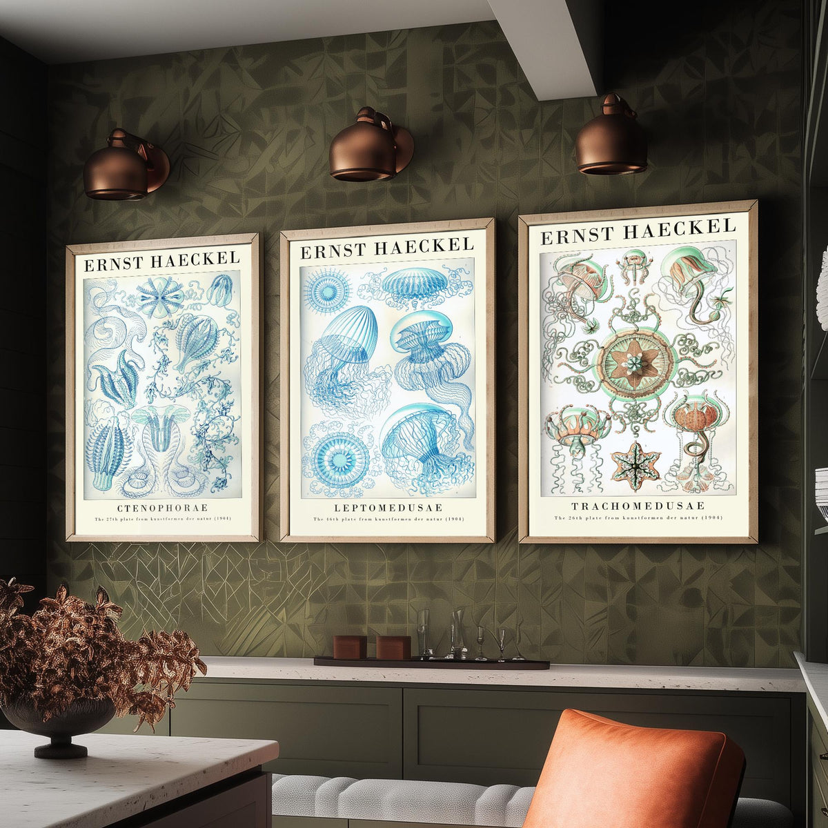 Ernst Haeckel Set of Three Gallery Art Prints - 3 Comb Jelly Jellyfish Medusae Posters - Titled Vintage Sea Life Illustration