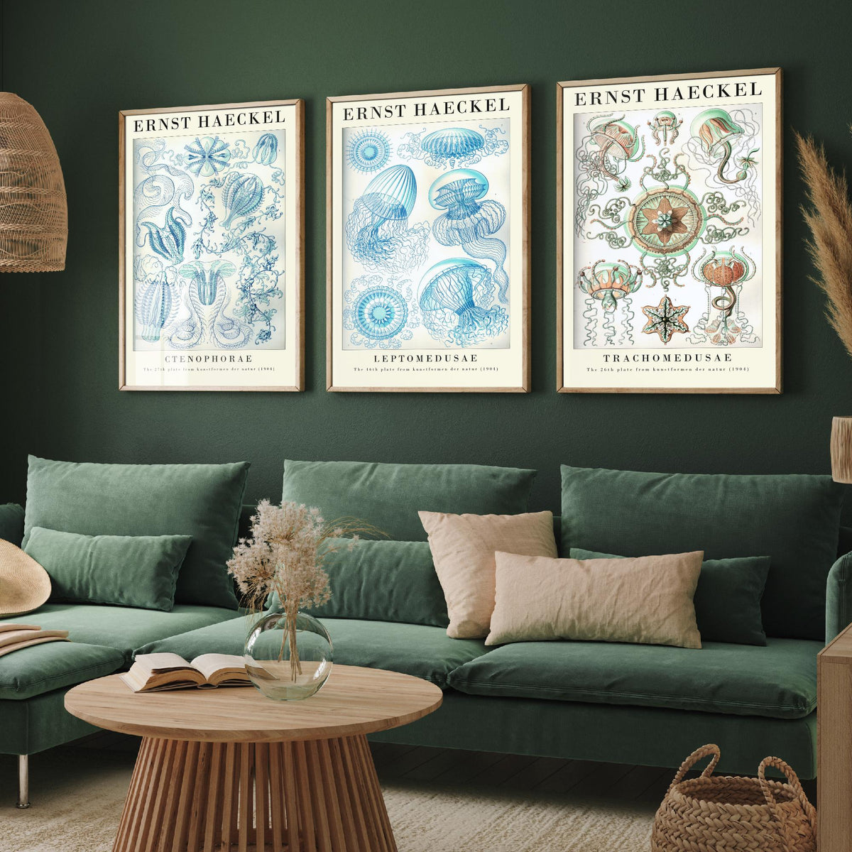 Ernst Haeckel Set of Three Gallery Art Prints - 3 Comb Jelly Jellyfish Medusae Posters - Titled Vintage Sea Life Illustration
