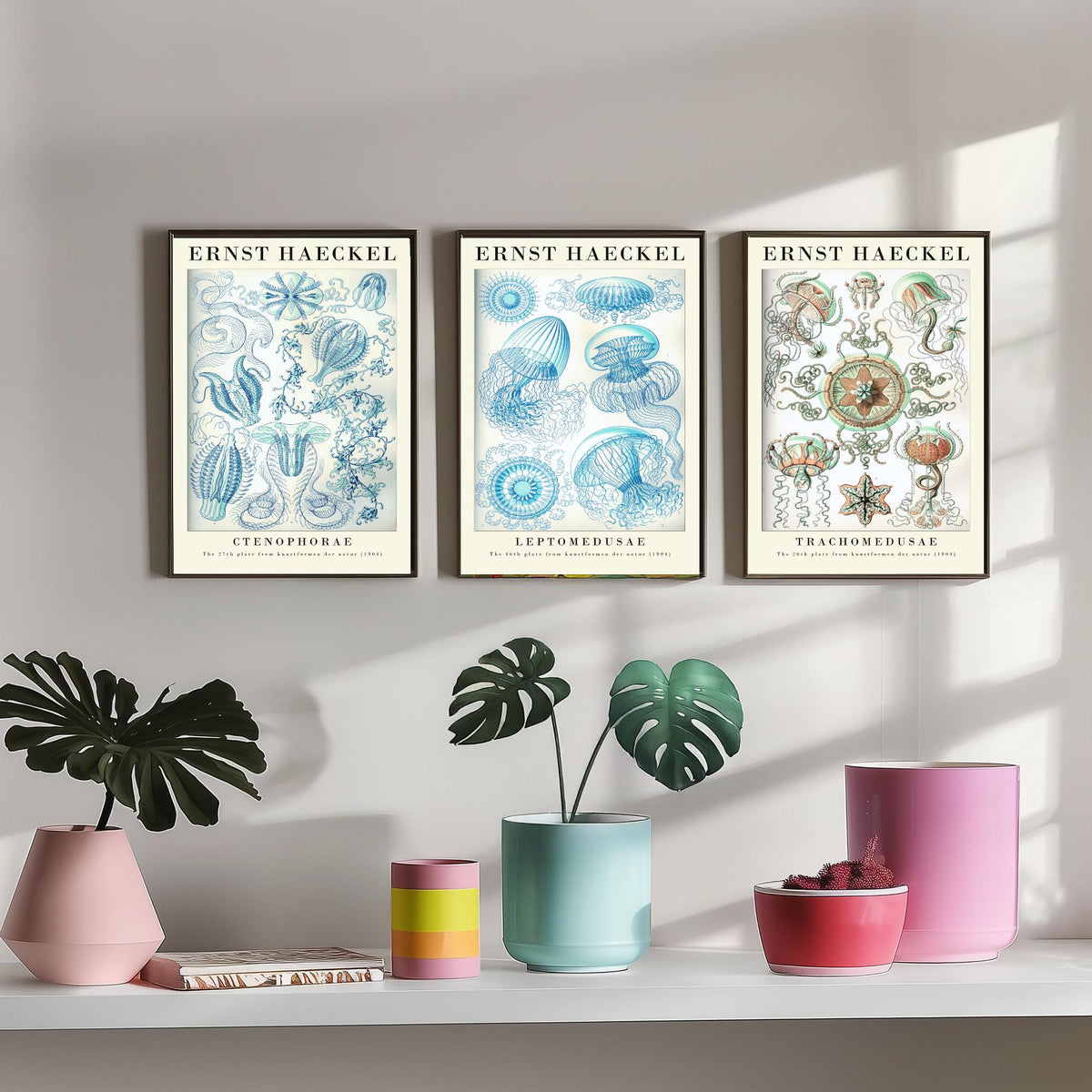 Ernst Haeckel Set of Three Gallery Art Prints - 3 Comb Jelly Jellyfish Medusae Posters - Titled Vintage Sea Life Illustration
