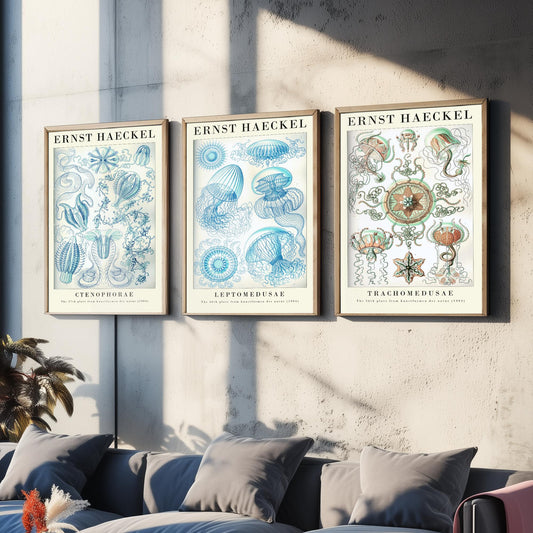 Ernst Haeckel Set of Three Gallery Art Prints - 3 Comb Jelly Jellyfish Medusae Posters - Titled Vintage Sea Life Illustration