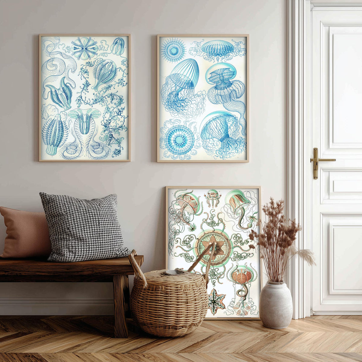 Ernst Haeckel Set of Three Art Prints - 3 Comb Jelly Jellyfish Medusae Posters - Clean Minimalist Ocean Life Illustration
