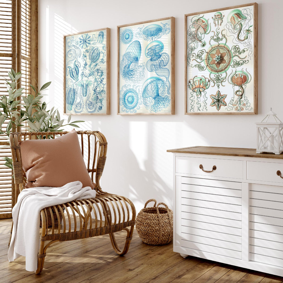 Ernst Haeckel Set of Three Art Prints - 3 Comb Jelly Jellyfish Medusae Posters - Clean Minimalist Ocean Life Illustration