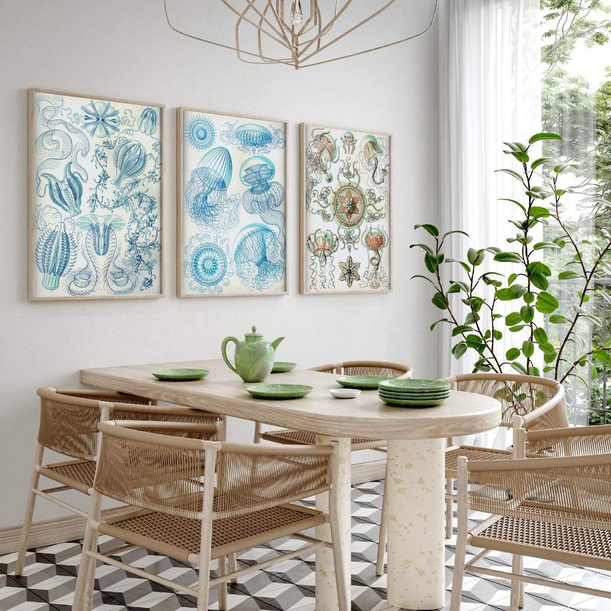 Ernst Haeckel Set of Three Art Prints - 3 Comb Jelly Jellyfish Medusae Posters - Clean Minimalist Ocean Life Illustration