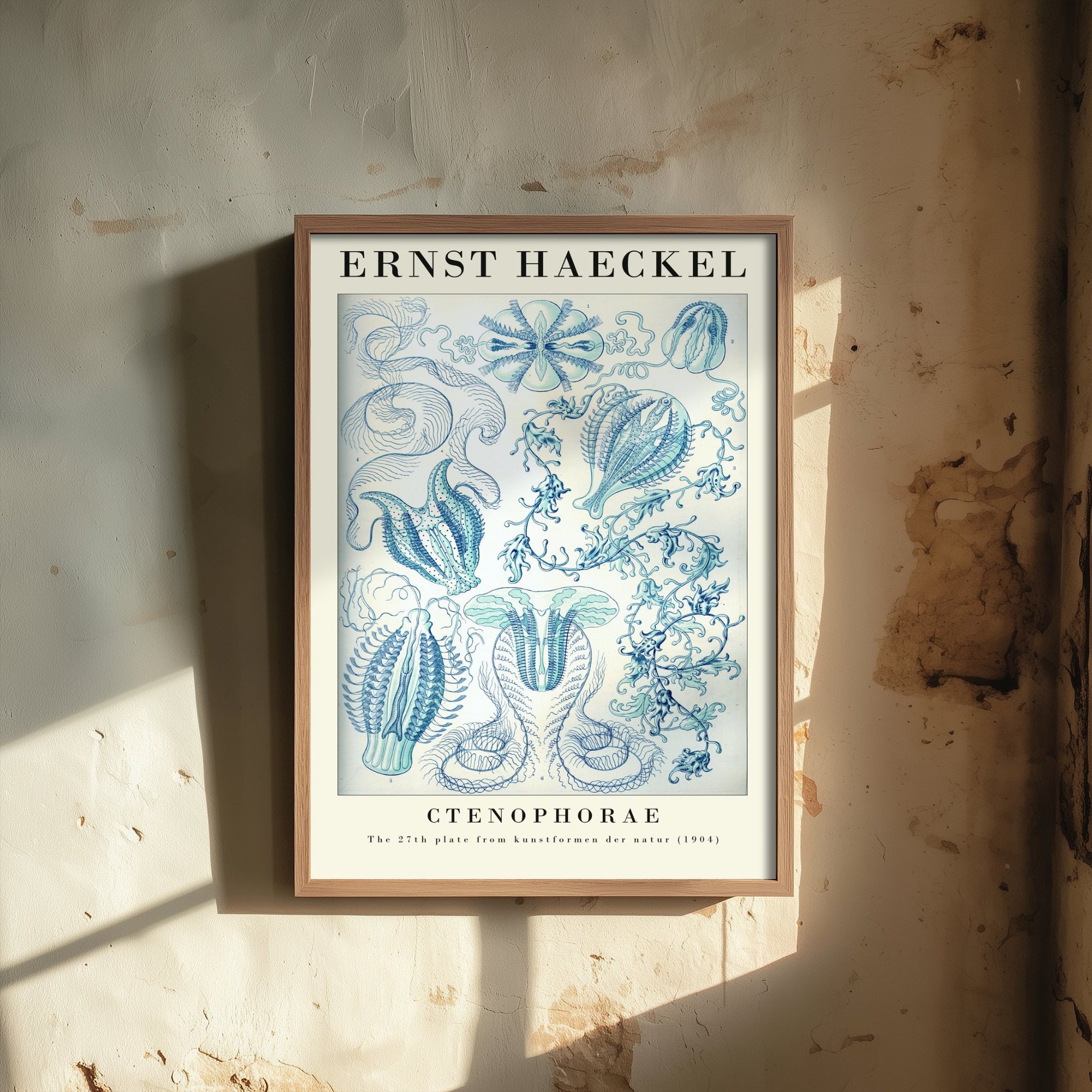 Comb Jellies Art Print - Ernst Haeckel Poster - Ctenophorae Plate 27 - Art Forms in Nature Vintage Illustration