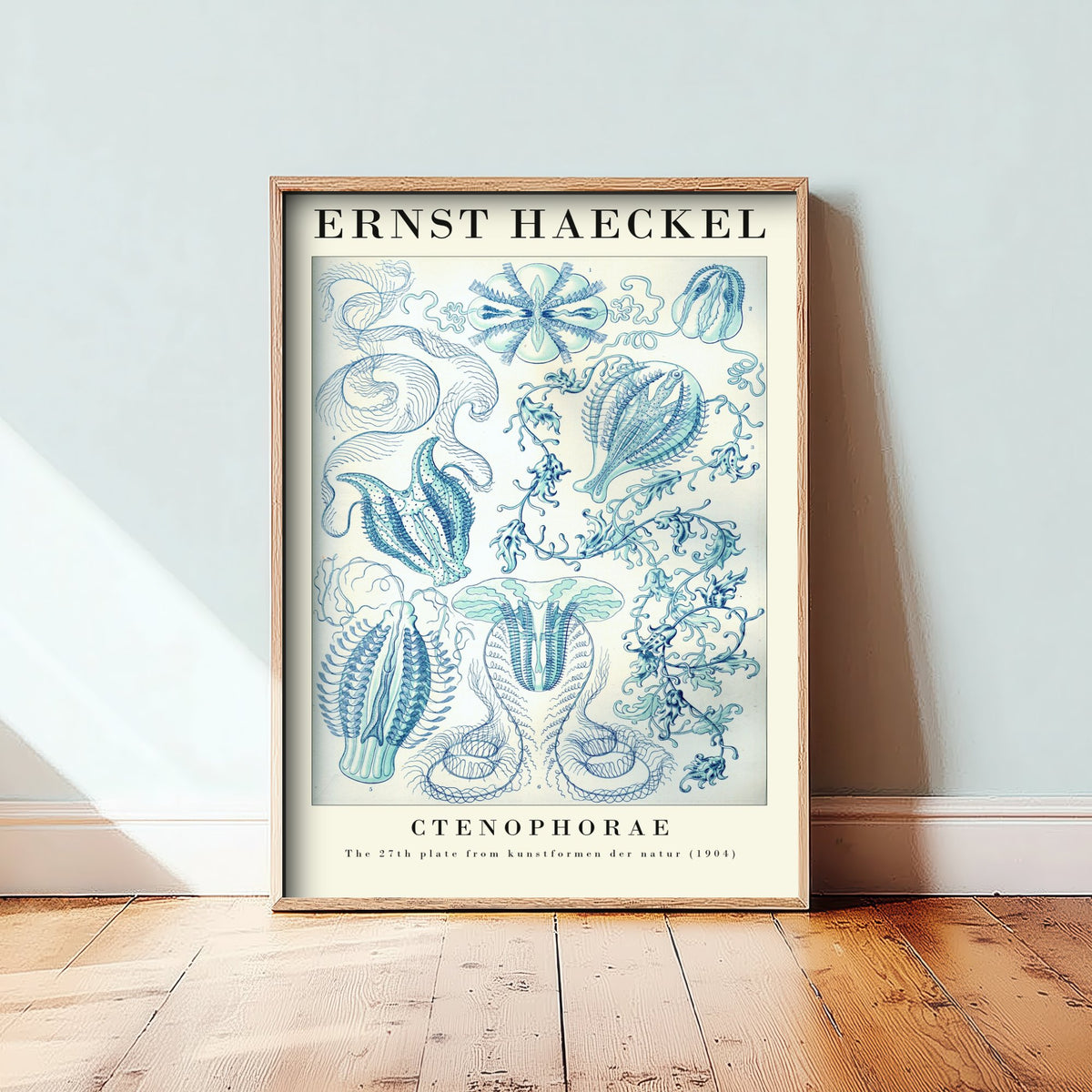 Comb Jellies Art Print - Ernst Haeckel Poster - Ctenophorae Plate 27 - Art Forms in Nature Vintage Illustration