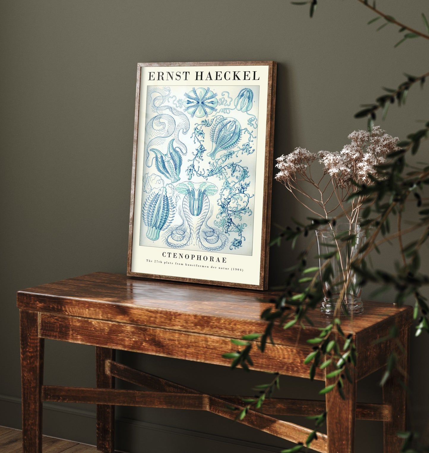 Comb Jellies Art Print - Ernst Haeckel Poster - Ctenophorae Plate 27 - Art Forms in Nature Vintage Illustration