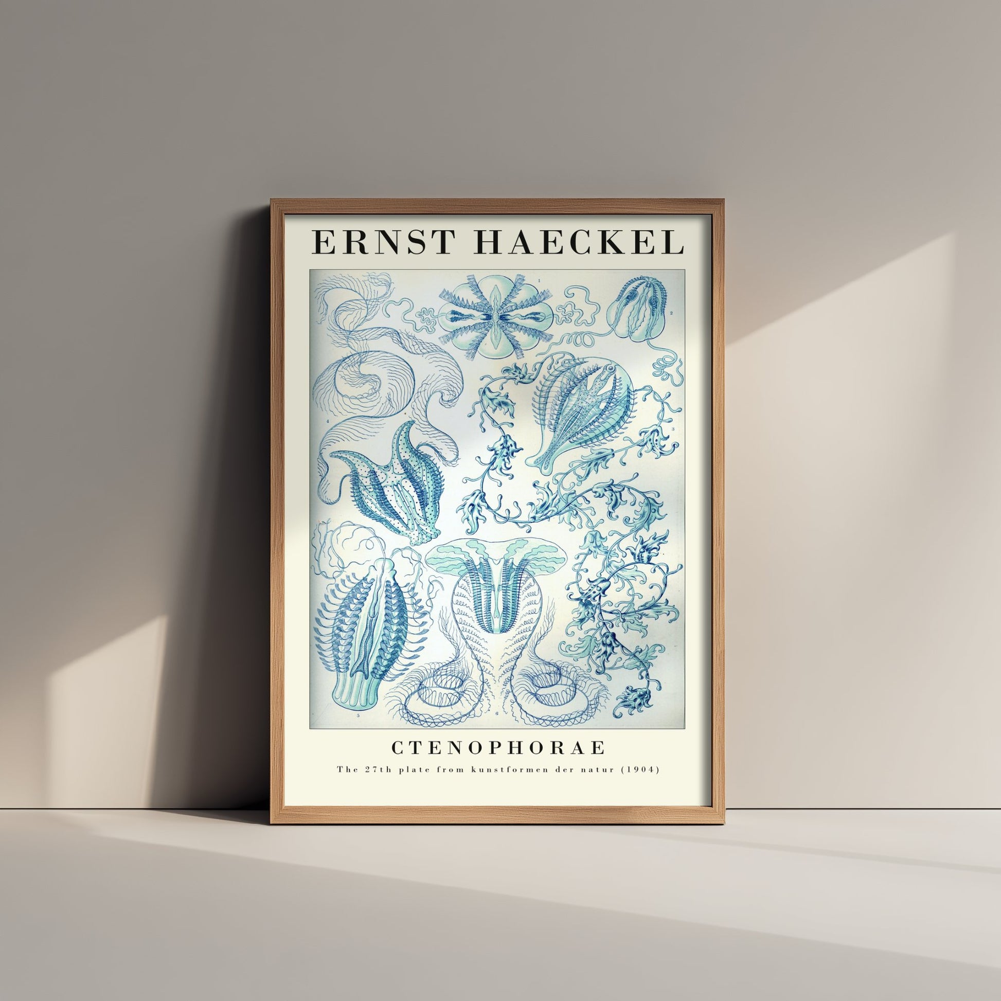 Comb Jellies Art Print - Ernst Haeckel Poster - Ctenophorae Plate 27 - Art Forms in Nature Vintage Illustration