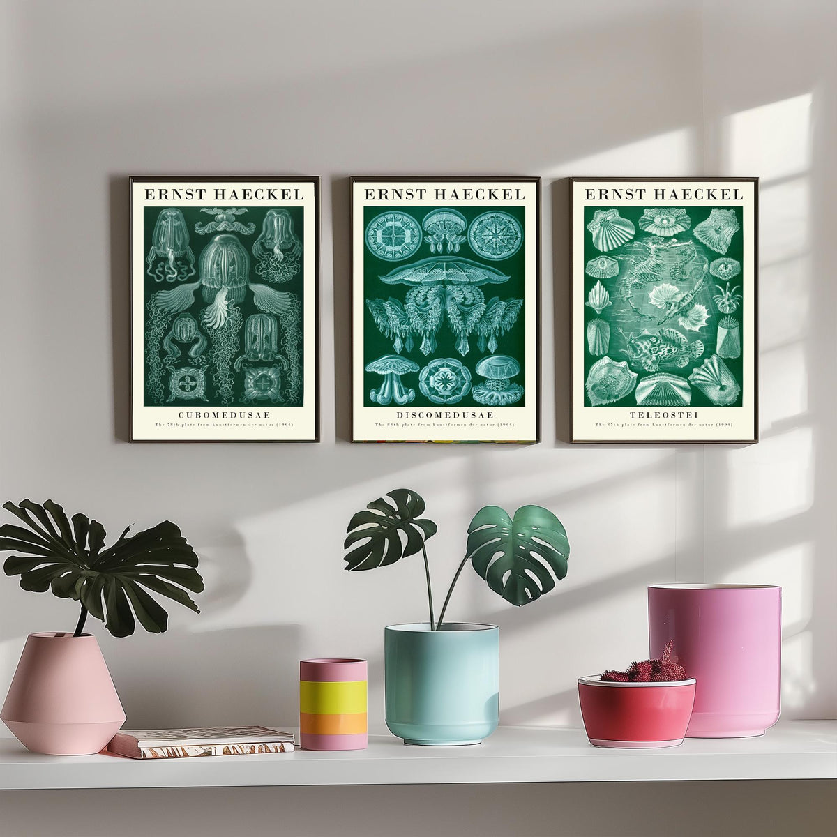 Ernst Haeckel Set of Three Gallery Art Prints - 3 Box Jellyfish Medusae and Bony Fish Posters - Green Vintage Sea Illustration
