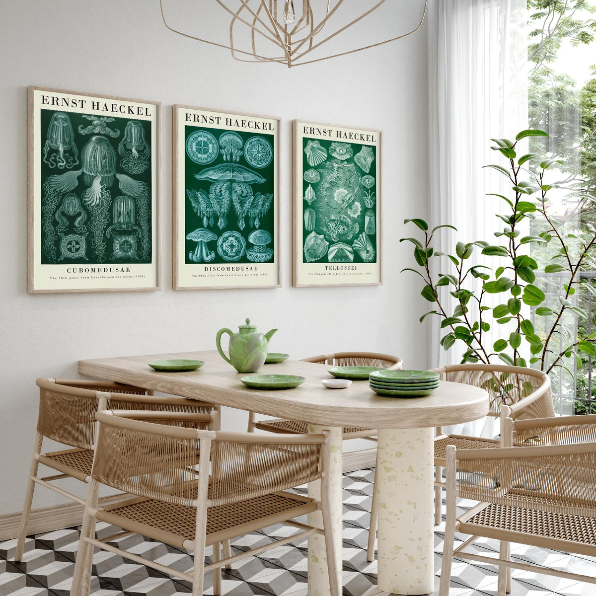 Ernst Haeckel Set of Three Gallery Art Prints - 3 Box Jellyfish Medusae and Bony Fish Posters - Green Vintage Sea Illustration
