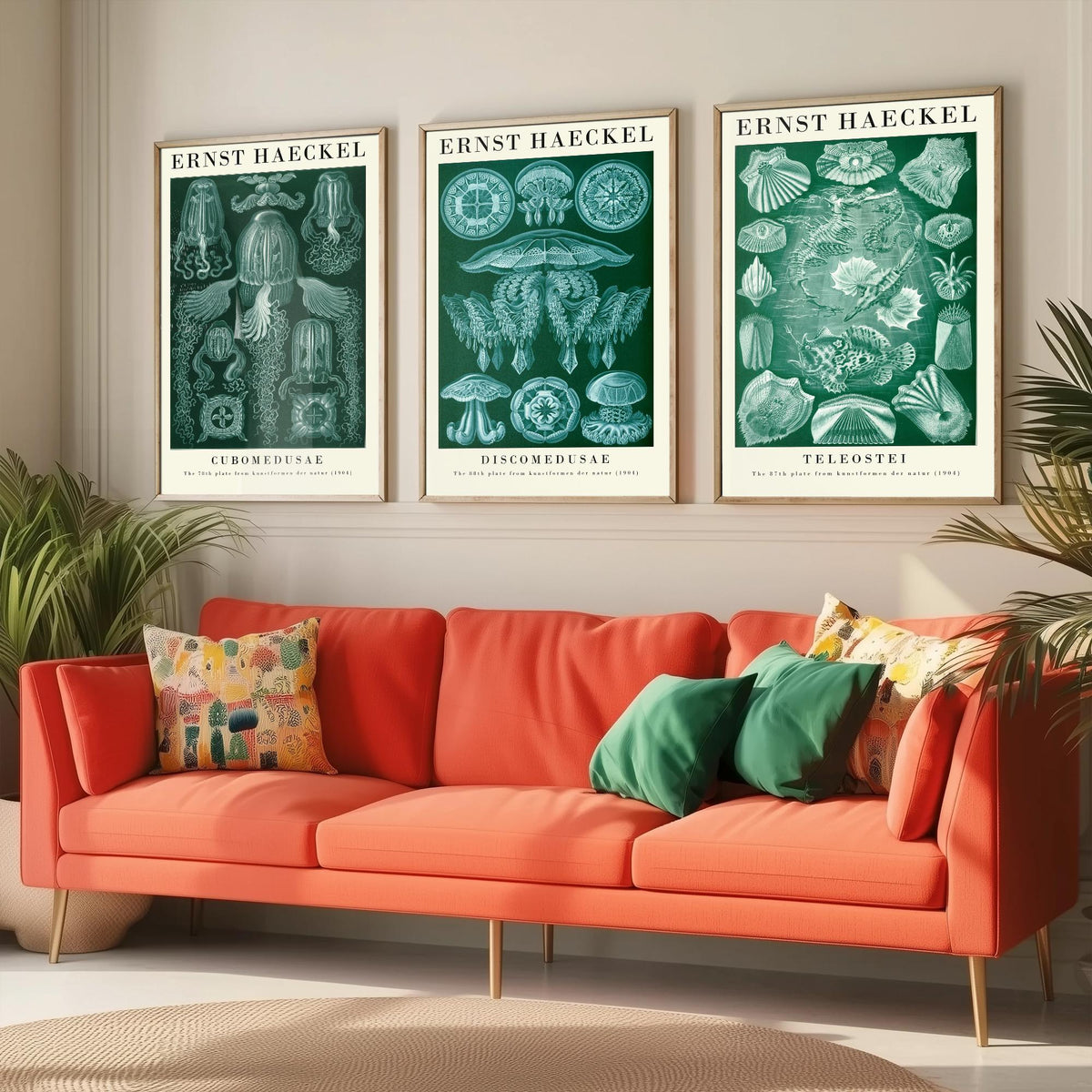 Ernst Haeckel Set of Three Gallery Art Prints - 3 Box Jellyfish Medusae and Bony Fish Posters - Green Vintage Sea Illustration