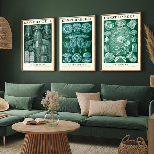 Ernst Haeckel Set of Three Gallery Art Prints - 3 Box Jellyfish Medusae and Bony Fish Posters - Green Vintage Sea Illustration