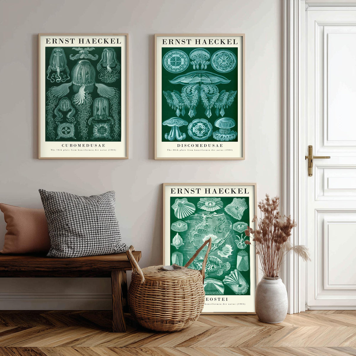 Ernst Haeckel Set of Three Gallery Art Prints - 3 Box Jellyfish Medusae and Bony Fish Posters - Green Vintage Sea Illustration