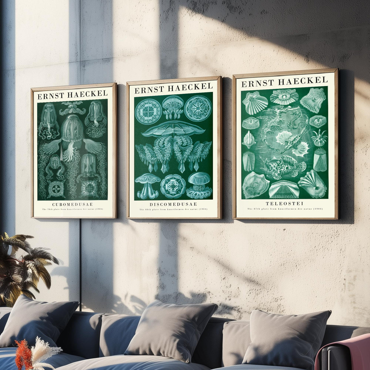 Ernst Haeckel Set of Three Gallery Art Prints - 3 Box Jellyfish Medusae and Bony Fish Posters - Green Vintage Sea Illustration