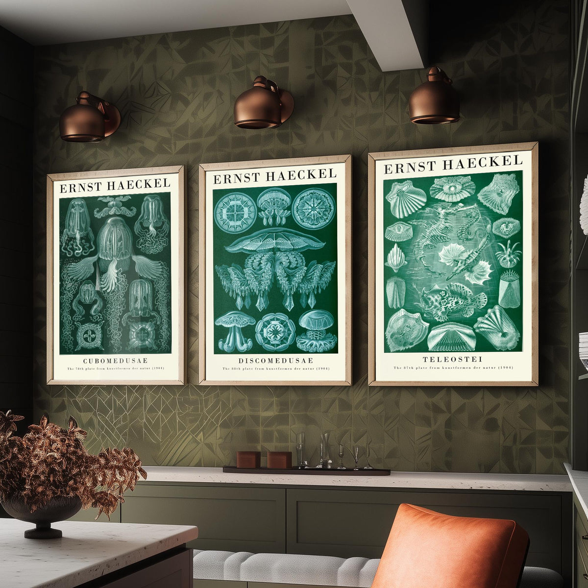 Ernst Haeckel Set of Three Gallery Art Prints - 3 Box Jellyfish Medusae and Bony Fish Posters - Green Vintage Sea Illustration