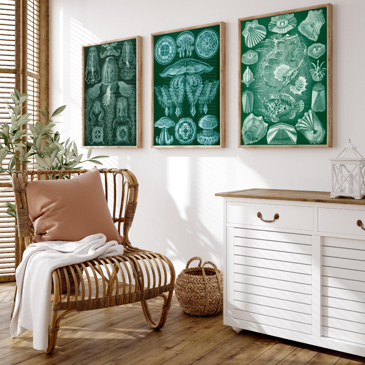 Ernst Haeckel Set of Three Art Prints - 3 Box Jellyfish Medusae and Bony Fish Posters - Clean Minimalist Green Illustration