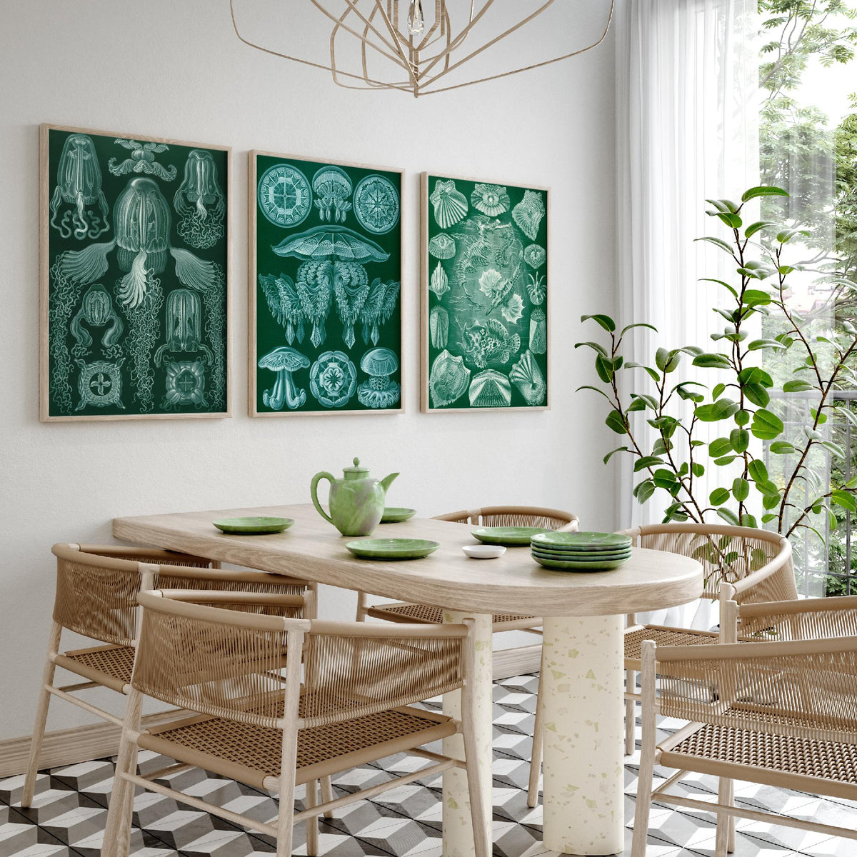 Ernst Haeckel Set of Three Art Prints - 3 Box Jellyfish Medusae and Bony Fish Posters - Clean Minimalist Green Illustration