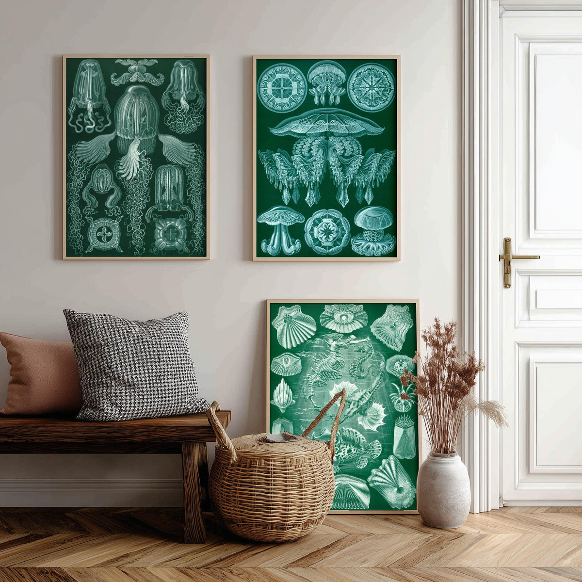 Ernst Haeckel Set of Three Art Prints - 3 Box Jellyfish Medusae and Bony Fish Posters - Clean Minimalist Green Illustration