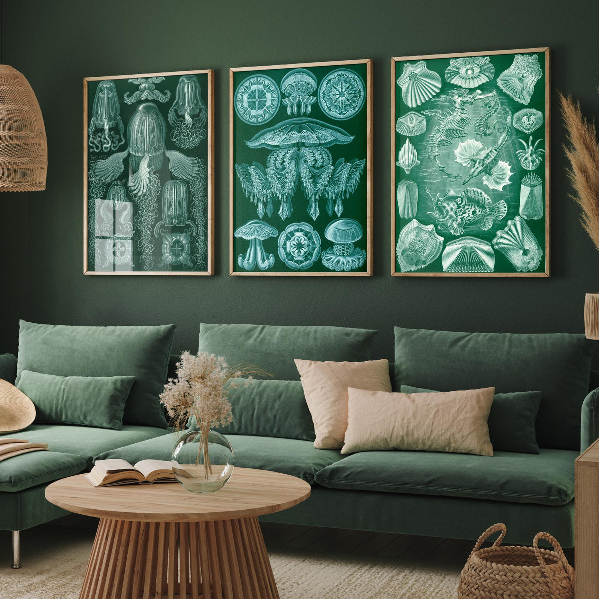 Ernst Haeckel Set of Three Art Prints - 3 Box Jellyfish Medusae and Bony Fish Posters - Clean Minimalist Green Illustration