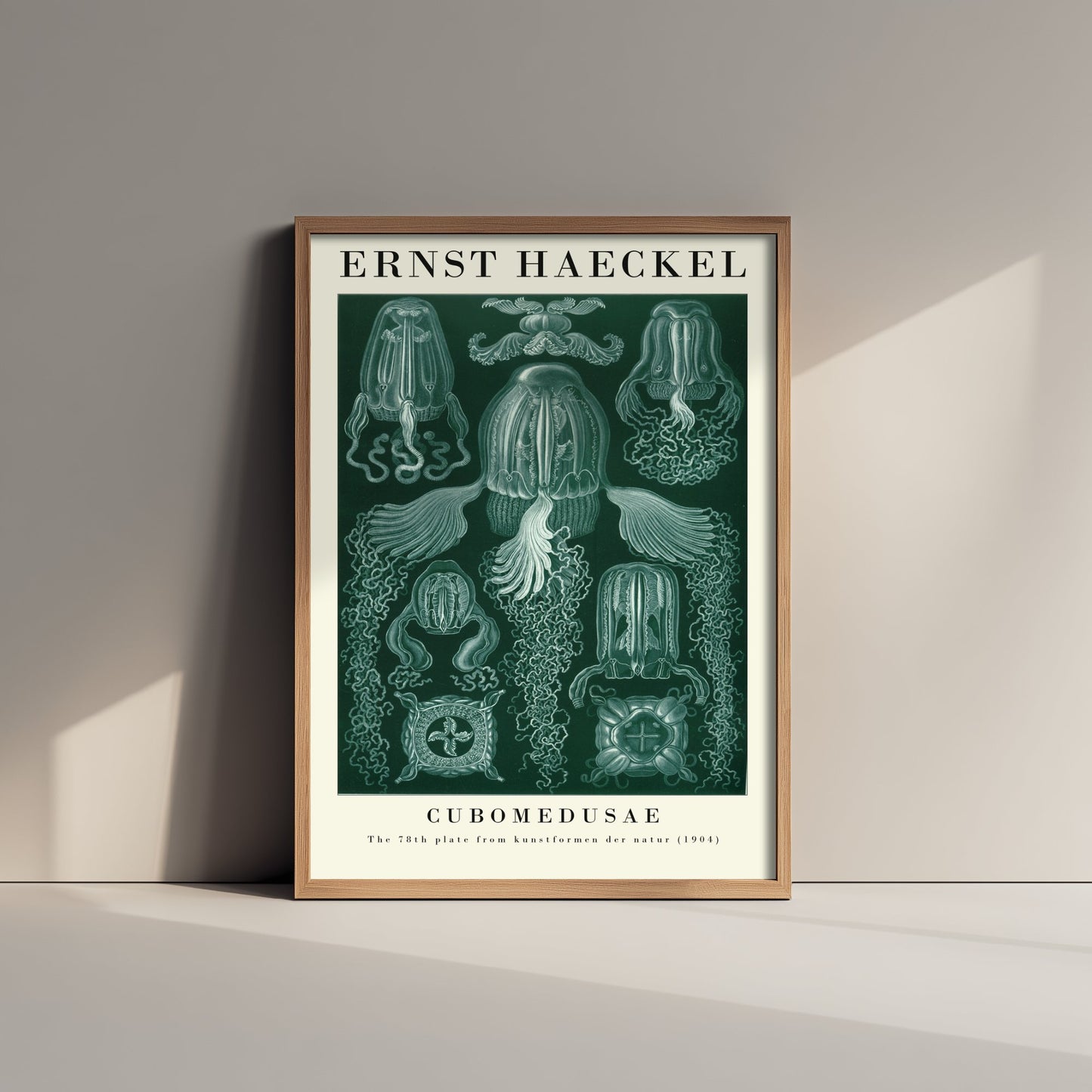 Box Jellyfish Art Print - Ernst Haeckel Poster - Cubomedusae Plate 78 - Art Forms in Nature Vintage Illustration
