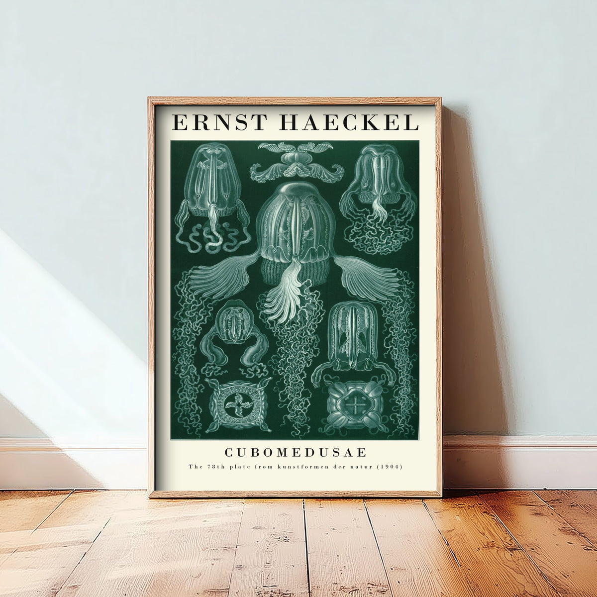 Box Jellyfish Art Print - Ernst Haeckel Poster - Cubomedusae Plate 78 - Art Forms in Nature Vintage Illustration