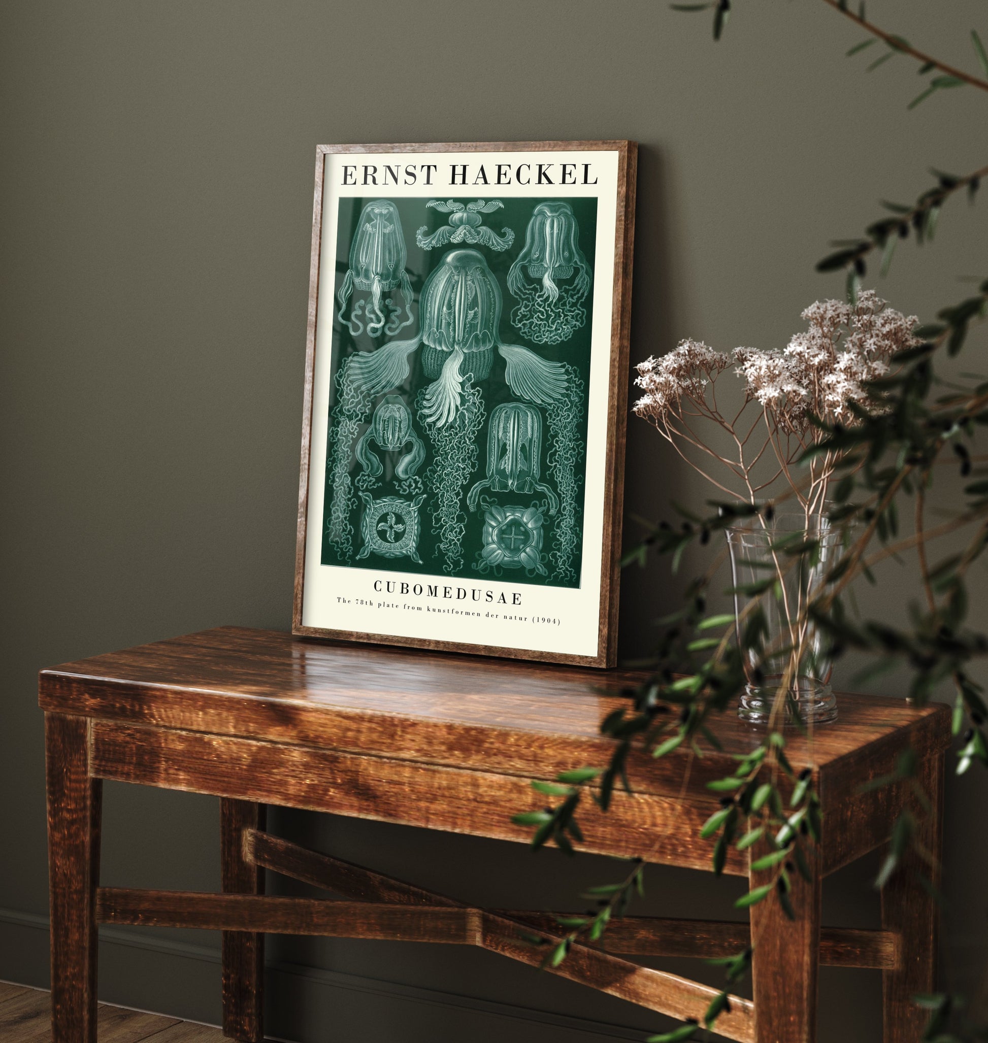 Box Jellyfish Art Print - Ernst Haeckel Poster - Cubomedusae Plate 78 - Art Forms in Nature Vintage Illustration