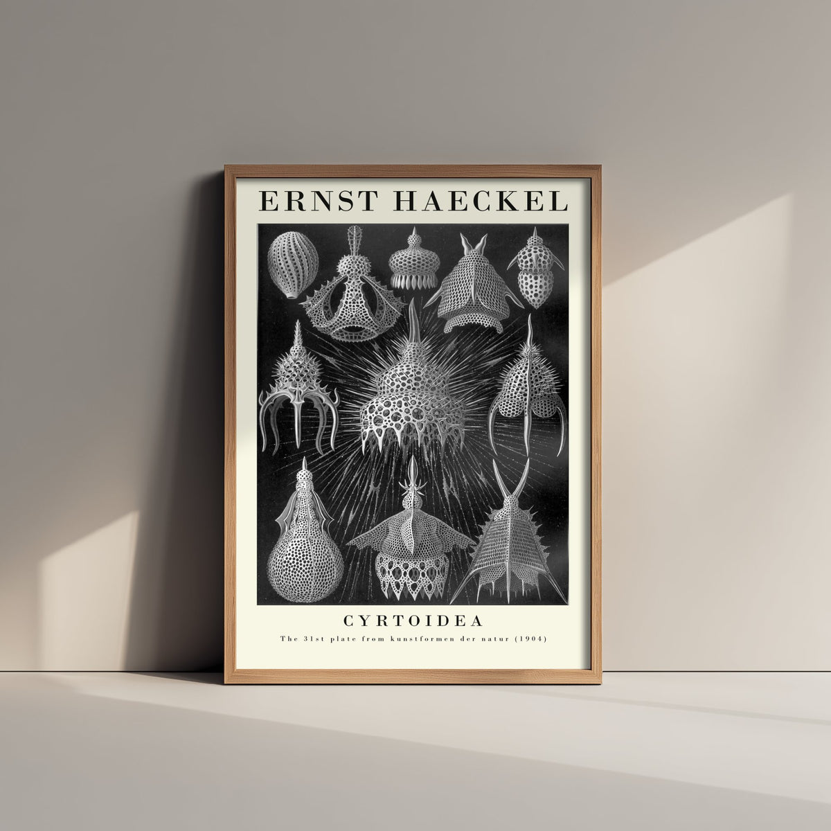Radiolarians Art Print - Ernst Haeckel Poster - Cyrtoidea Plate 31 - Art Forms in Nature Vintage Illustration