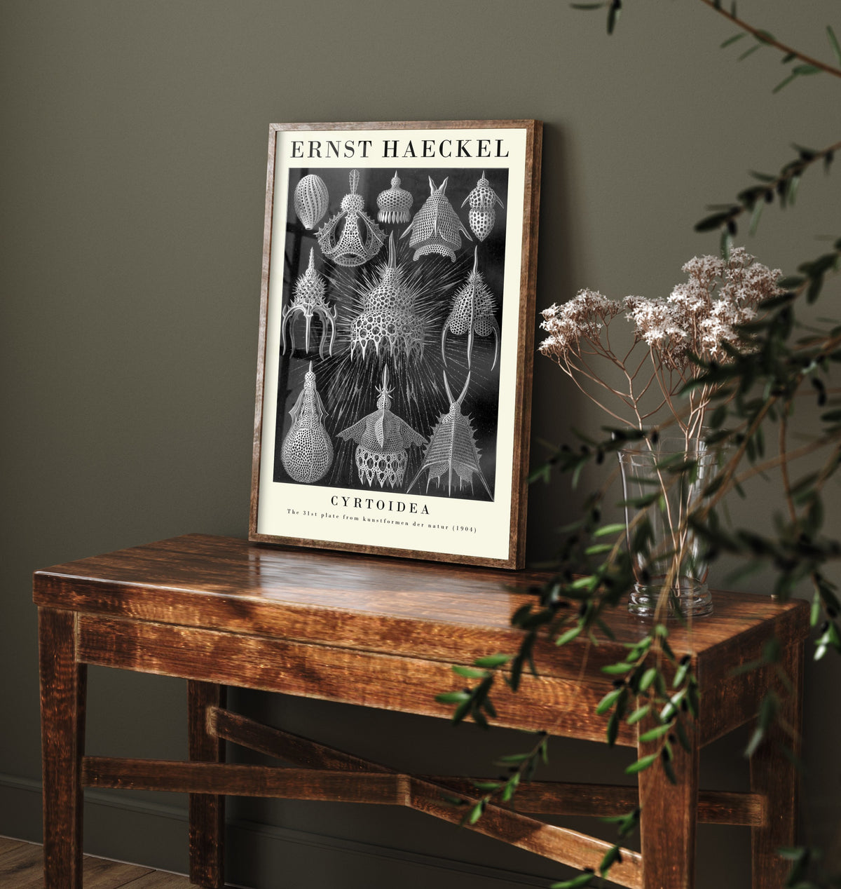 Radiolarians Art Print - Ernst Haeckel Poster - Cyrtoidea Plate 31 - Art Forms in Nature Vintage Illustration