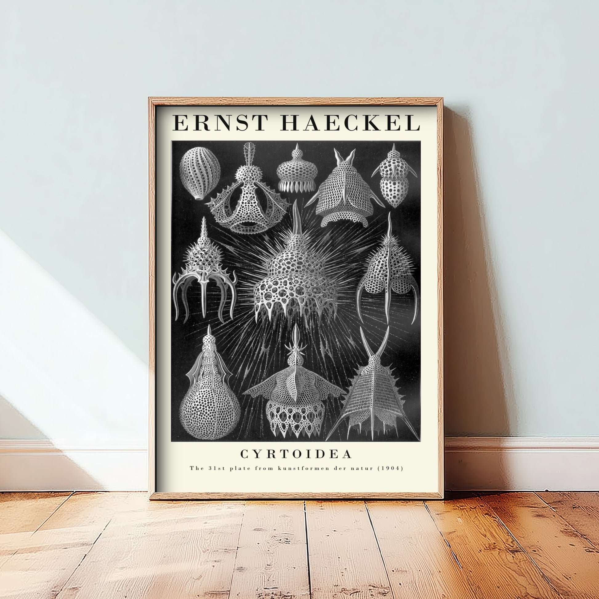 Radiolarians Art Print - Ernst Haeckel Poster - Cyrtoidea Plate 31 - Art Forms in Nature Vintage Illustration