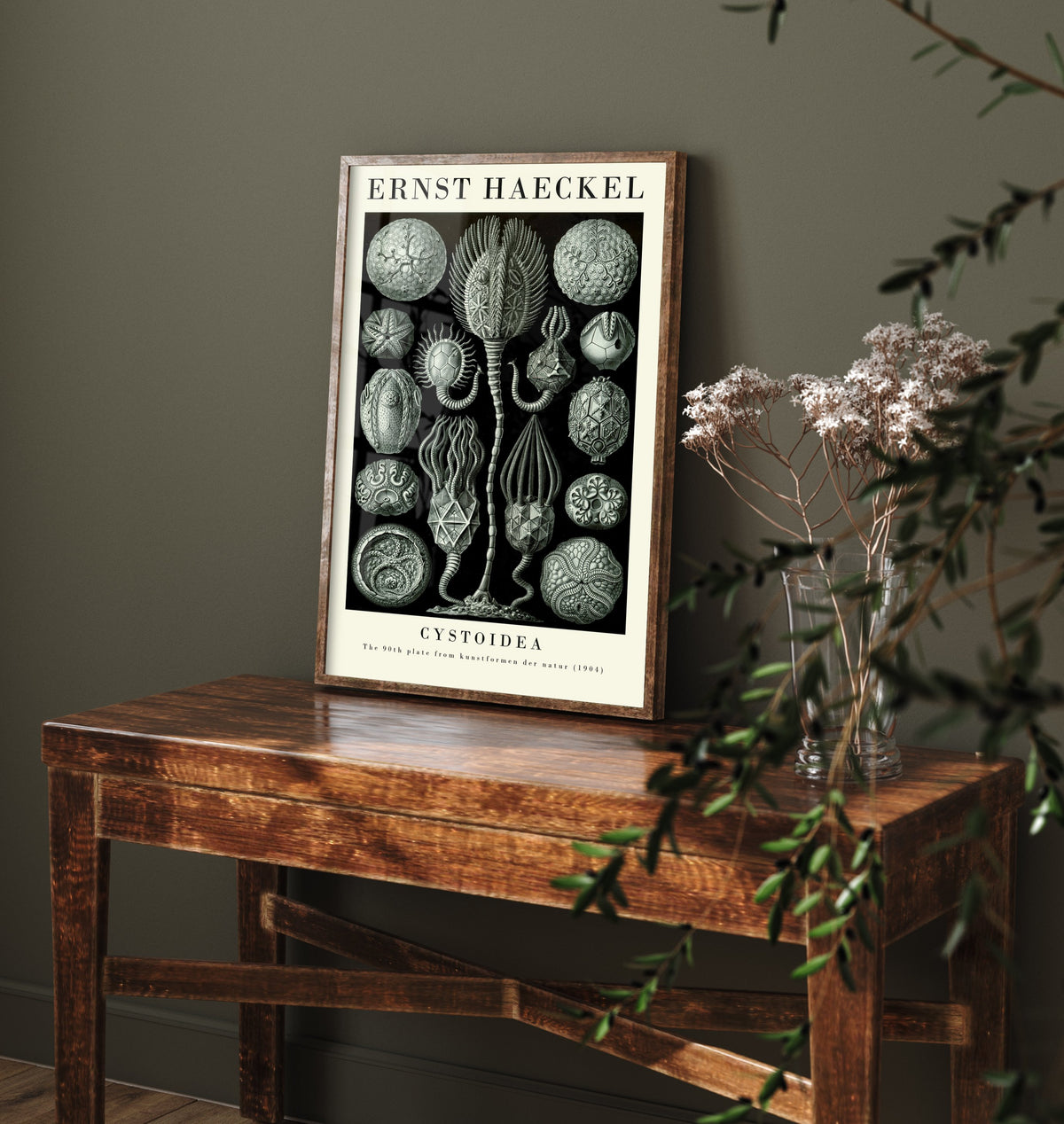 Cystoids Art Print - Ernst Haeckel Poster - Cystoidea Plate 90 - Art Forms in Nature Vintage Illustration