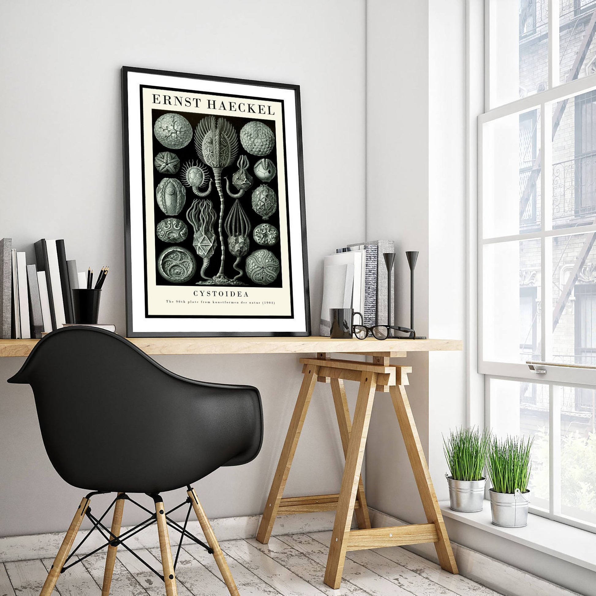 Cystoids Art Print - Ernst Haeckel Poster - Cystoidea Plate 90 - Art Forms in Nature Vintage Illustration