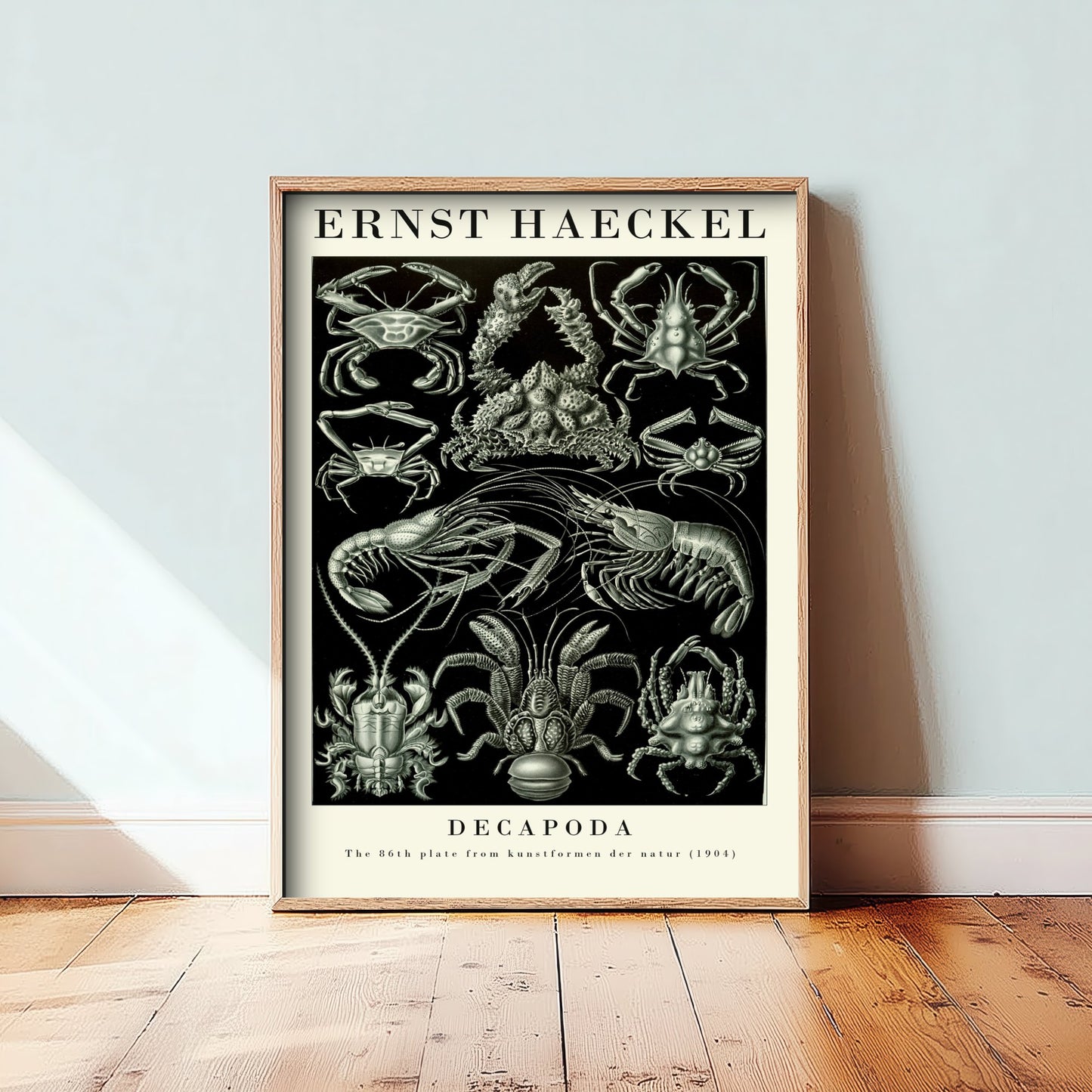 Crabs & Lobsters Art Print - Ernst Haeckel Poster - Decapoda Plate 86 - Art Forms in Nature Illustration