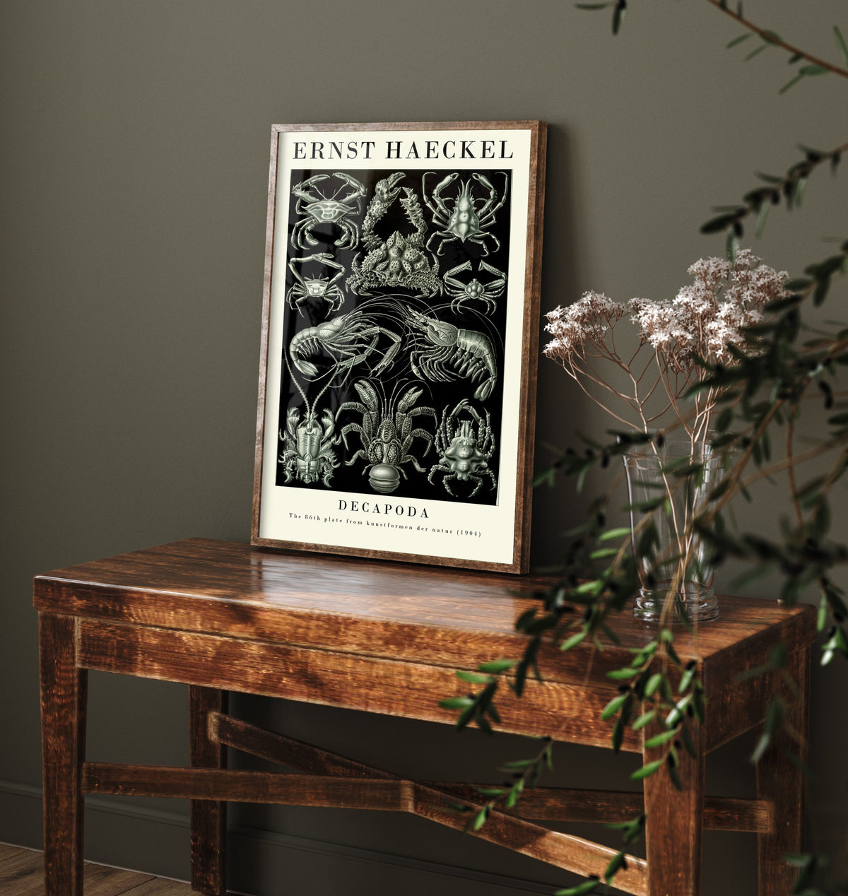 Crabs & Lobsters Art Print - Ernst Haeckel Poster - Decapoda Plate 86 - Art Forms in Nature Illustration