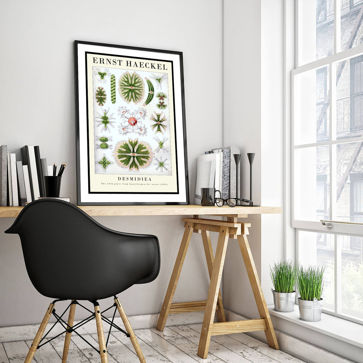 Green Algae Art Print - Ernst Haeckel Poster - Desmids Plate 24 - Art Forms in Nature Vintage Illustration