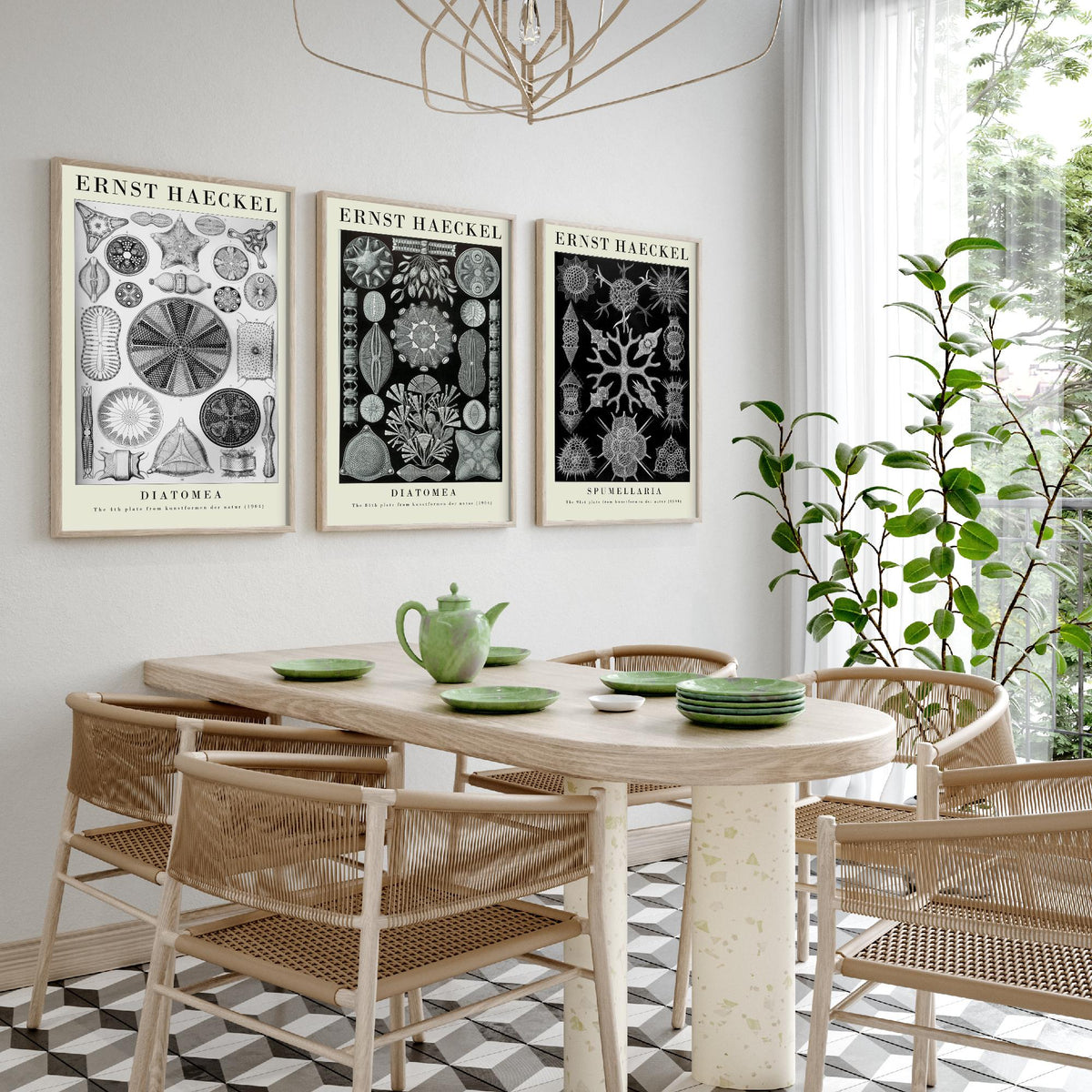 Ernst Haeckel Set of Three Gallery Art Prints - 3 Diatoms and Radiolarians Microscopic Life Posters - Black Vintage Illustration