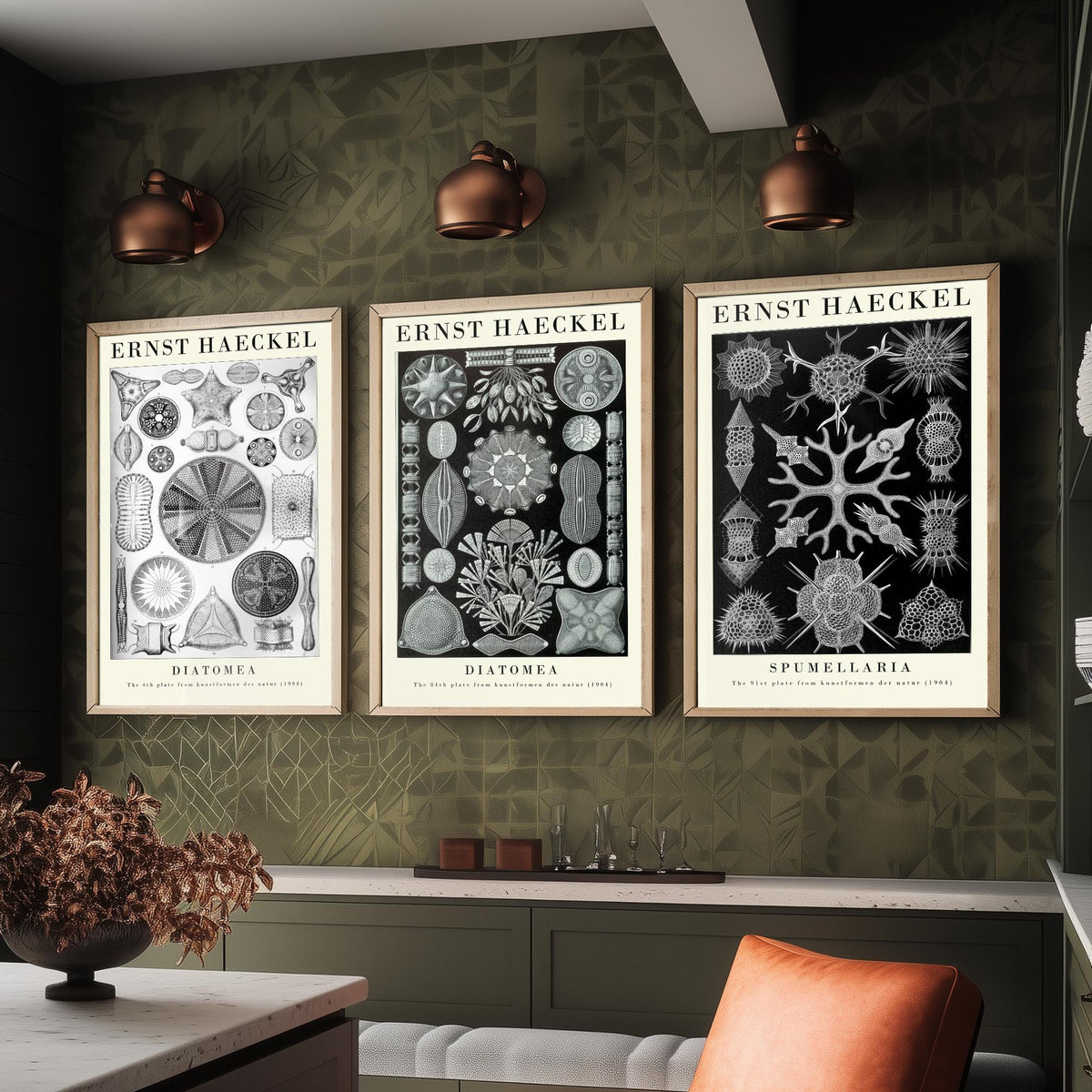 Ernst Haeckel Set of Three Gallery Art Prints - 3 Diatoms and Radiolarians Microscopic Life Posters - Black Vintage Illustration