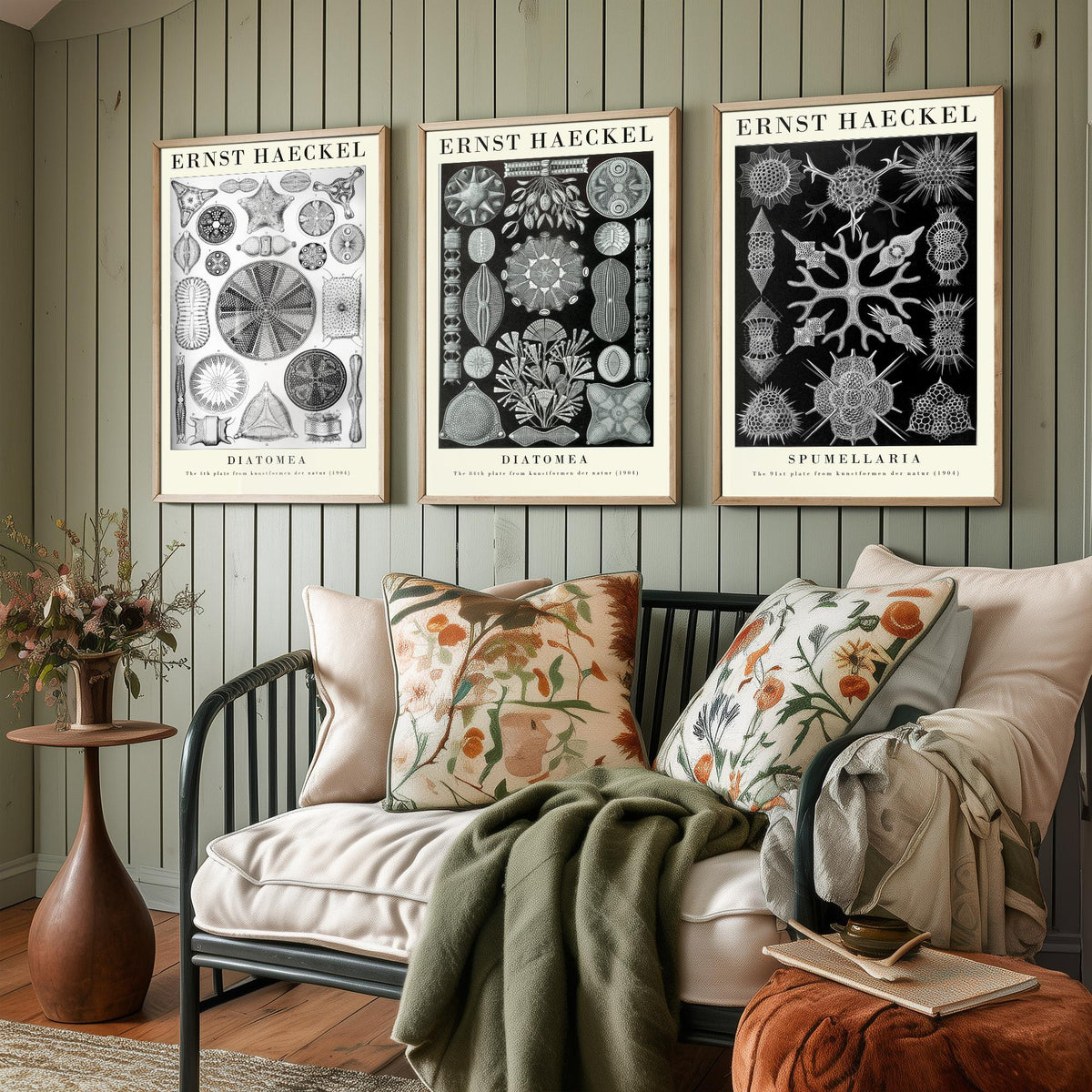 Ernst Haeckel Set of Three Gallery Art Prints - 3 Diatoms and Radiolarians Microscopic Life Posters - Black Vintage Illustration