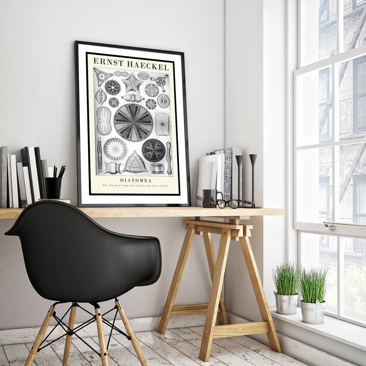 Diatoms Art Print - Ernst Haeckel Poster - Diatomea Plate 4 - Black & White Art Forms in Nature Illustration