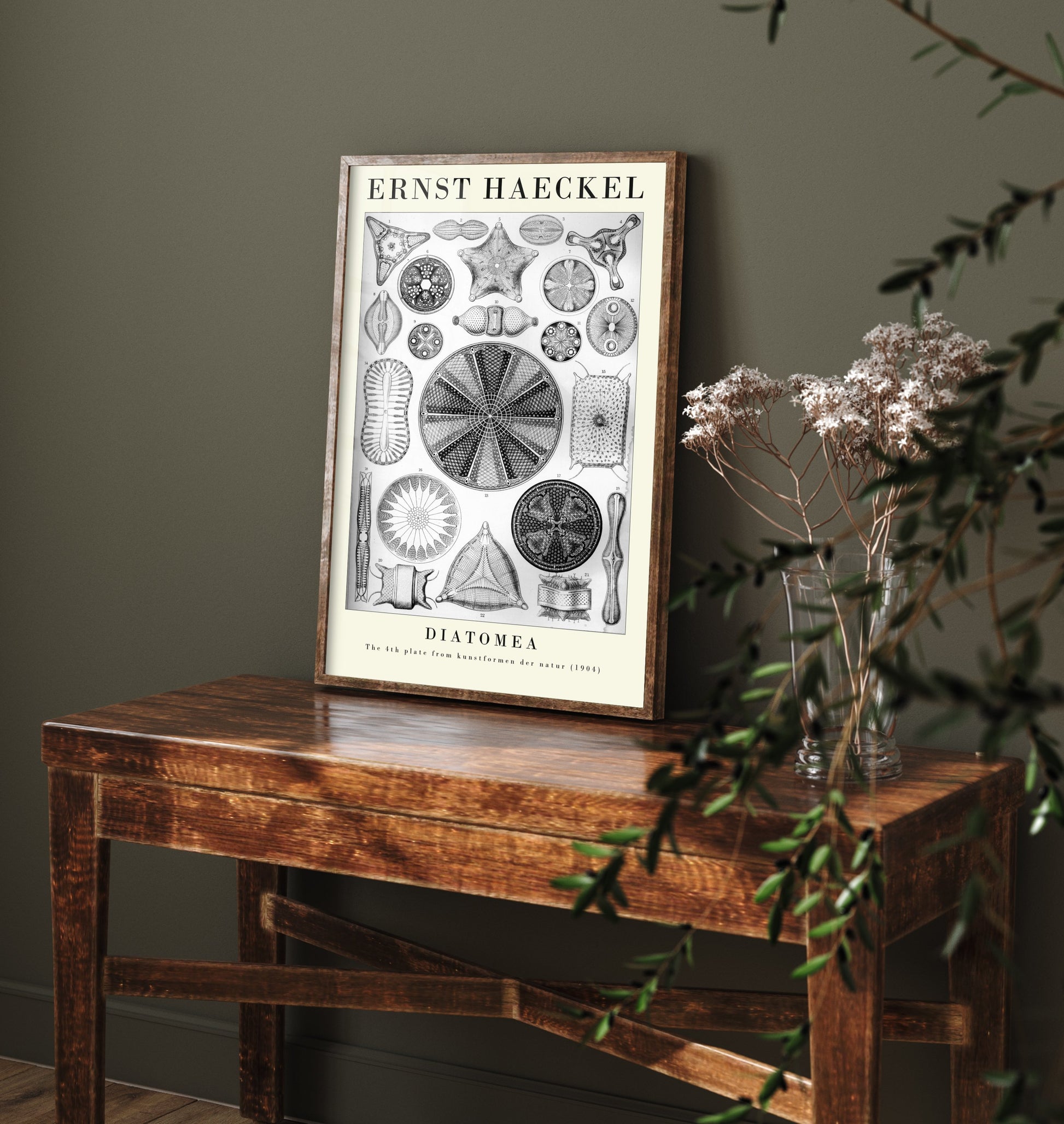 Diatoms Art Print - Ernst Haeckel Poster - Diatomea Plate 4 - Black & White Art Forms in Nature Illustration