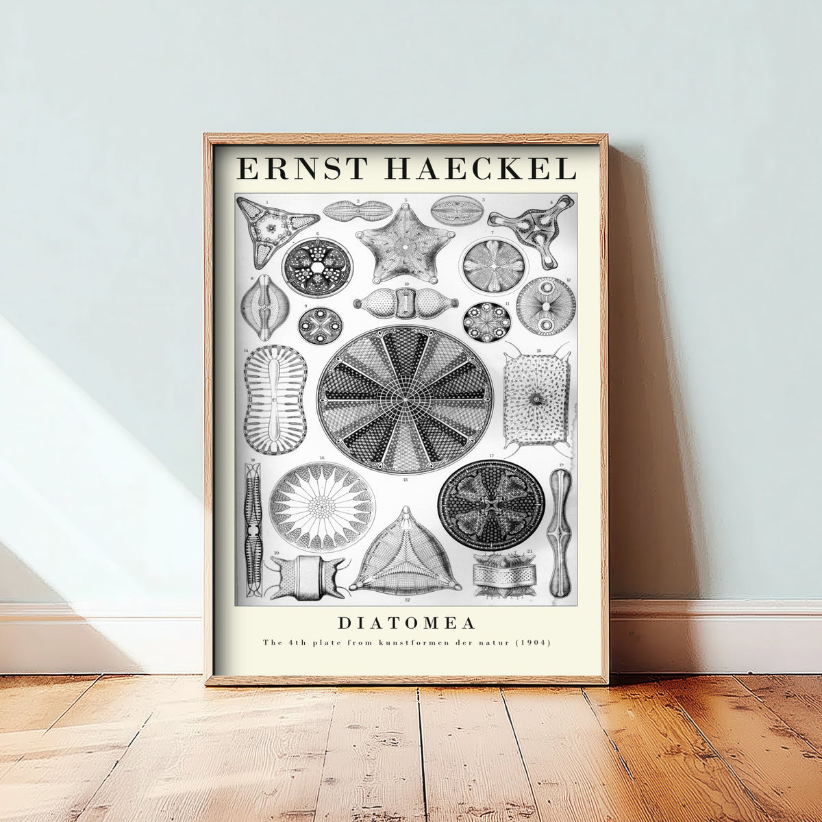 Diatoms Art Print - Ernst Haeckel Poster - Diatomea Plate 4 - Black & White Art Forms in Nature Illustration