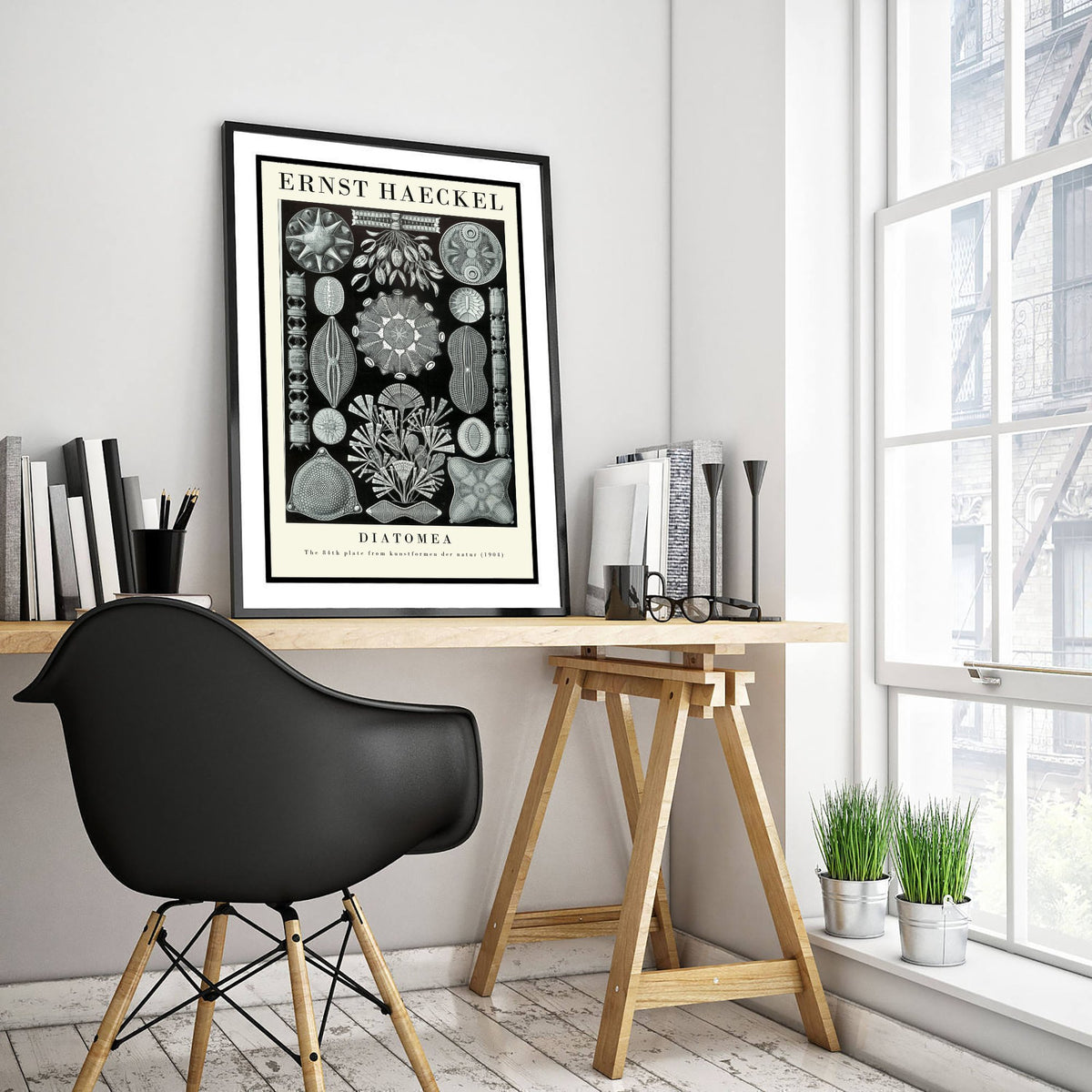 Diatoms Poster - Ernst Haeckel Art Print - Diatomea Plate 84 - Art Forms in Nature Vintage Illustration