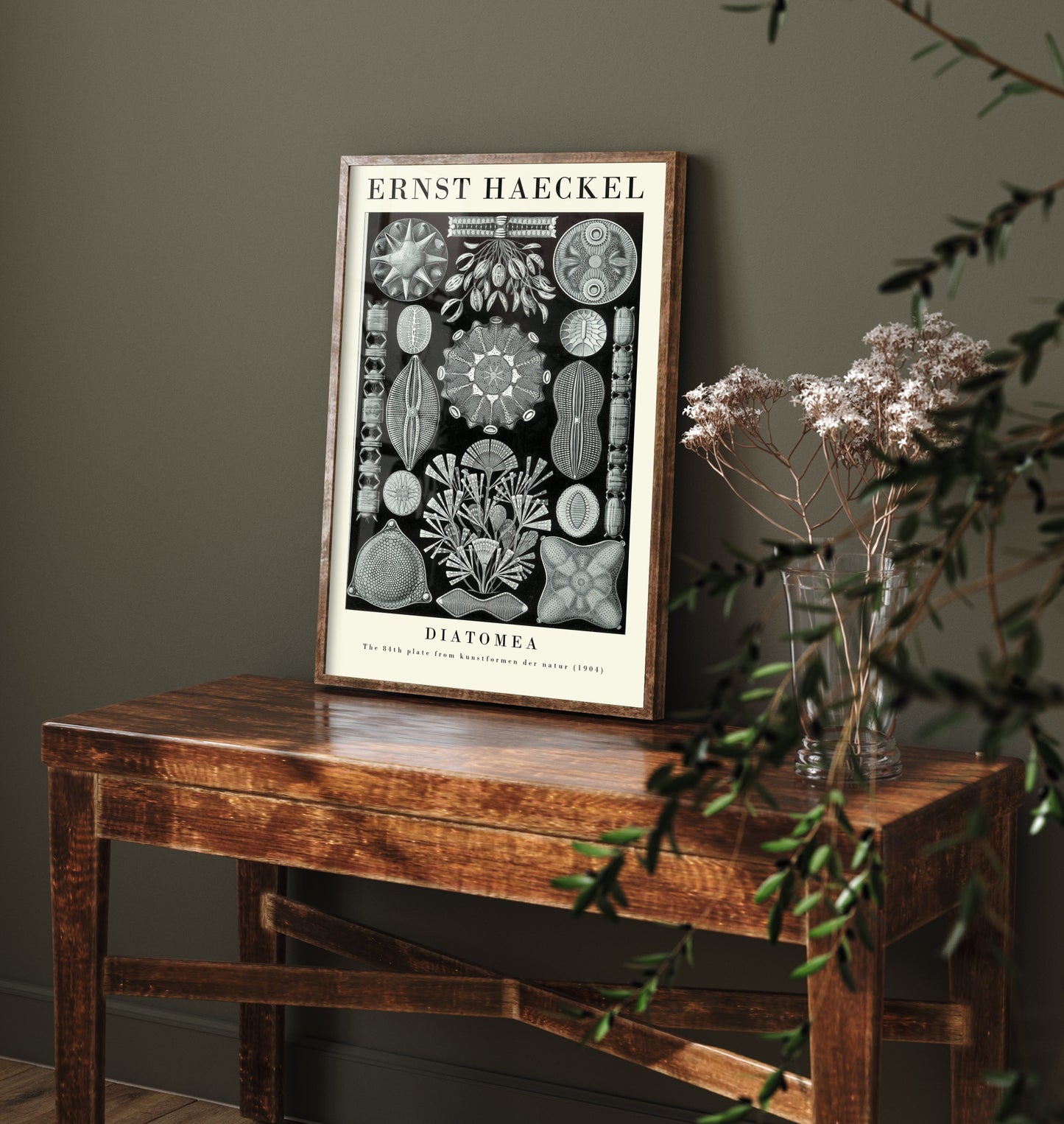 Diatoms Poster - Ernst Haeckel Art Print - Diatomea Plate 84 - Art Forms in Nature Vintage Illustration