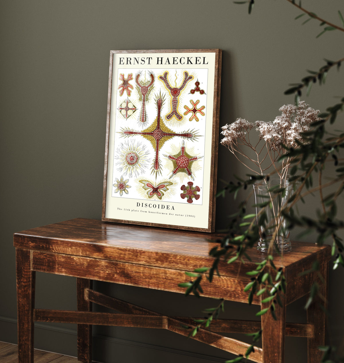 Radiolaria Art Print - Ernst Haeckel Poster - Discoidea Plate 11 - Red & Yellow Art Forms in Nature Illustration