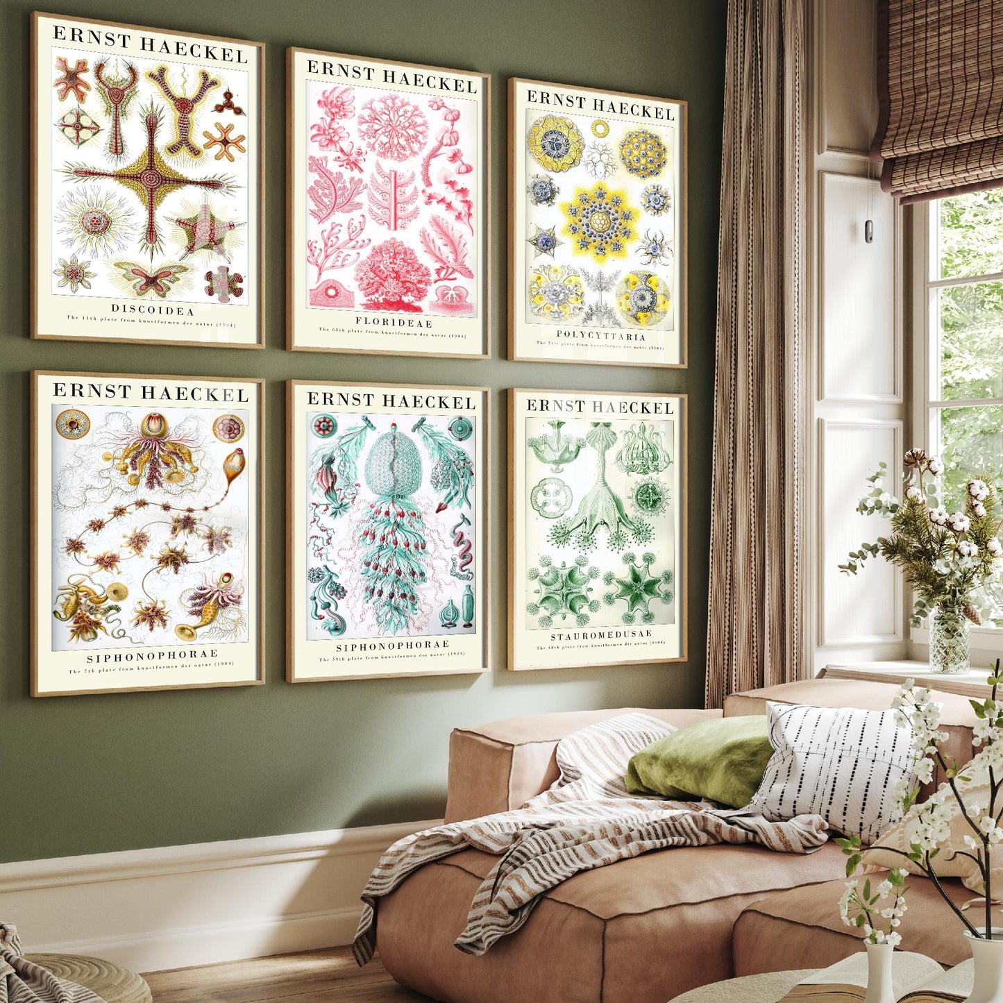 Set of Six Ernst Haeckel Art Prints - 6 Kunstformen der Natur Illustrations - Radiolaria Jellyfish Algae Sea Life Poster Nature