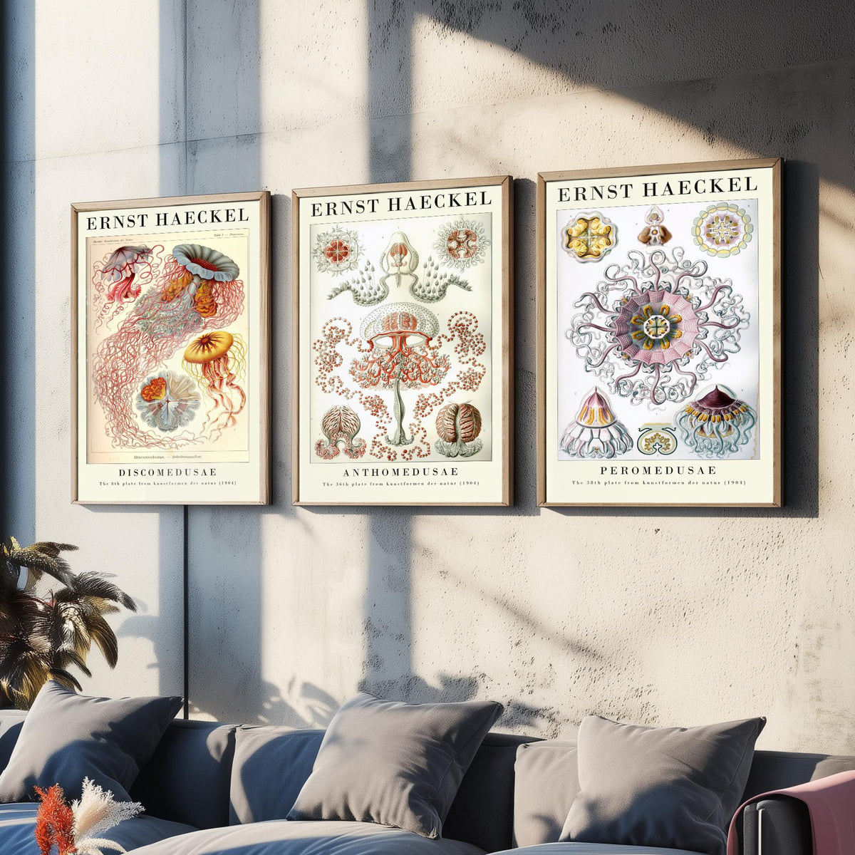 Ernst Haeckel Set of Three Gallery Art Prints - 3 Sea Nettle Flower and Crown Jellyfish Posters - Red Vintage Illustration